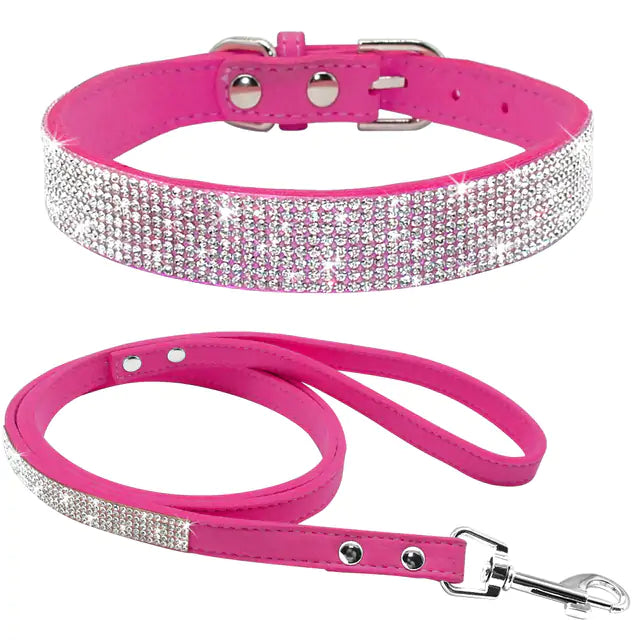 Pet Collar - The Pet Spot