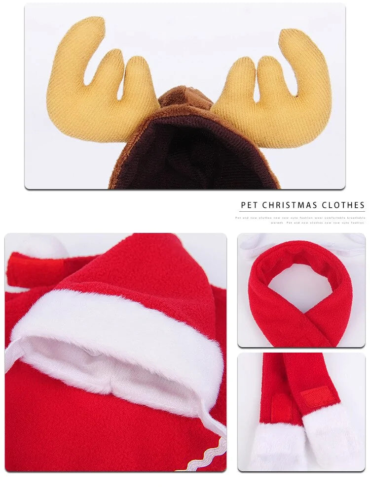 Pet Christmas Clothes - The Pet Spot