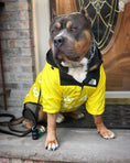 Load image into Gallery viewer, Dog Clothes Raincoat - The Pet Spot
