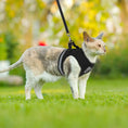 Load image into Gallery viewer, CozyCat Pet Harness and Leash - The Pet Spot
