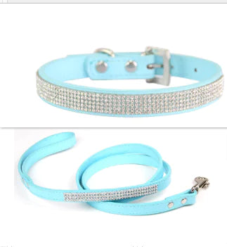 Pet Collar - The Pet Spot