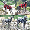 Load image into Gallery viewer, Winter Dog Clothes - The Pet Spot
