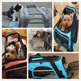 Load image into Gallery viewer, Pet Travel Bag - The Pet Spot
