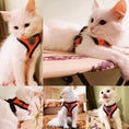 Load image into Gallery viewer, Pet Harness - The Pet Spot
