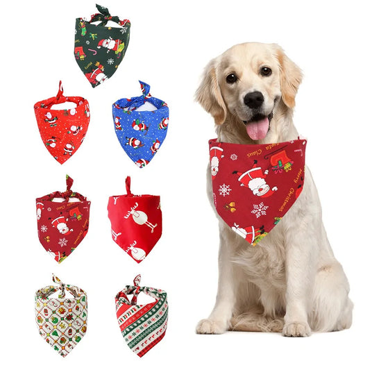 Canine Accessories Combo - The Pet Spot