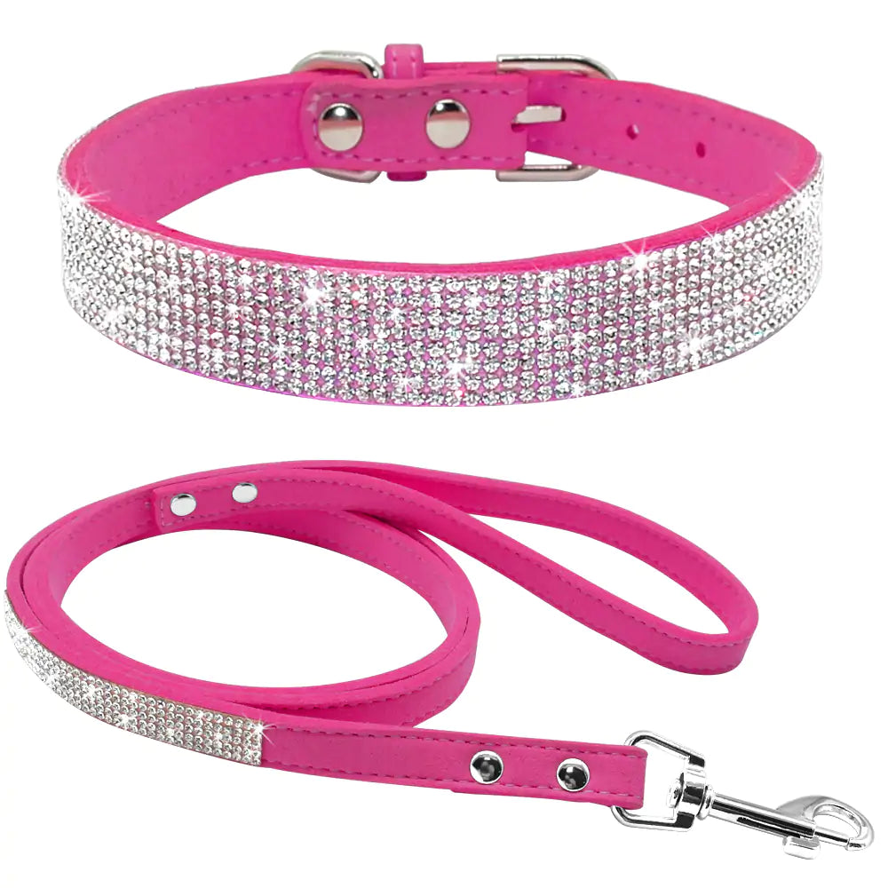 Pet Collar - The Pet Spot