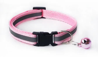 Canine Accessories Combo - The Pet Spot