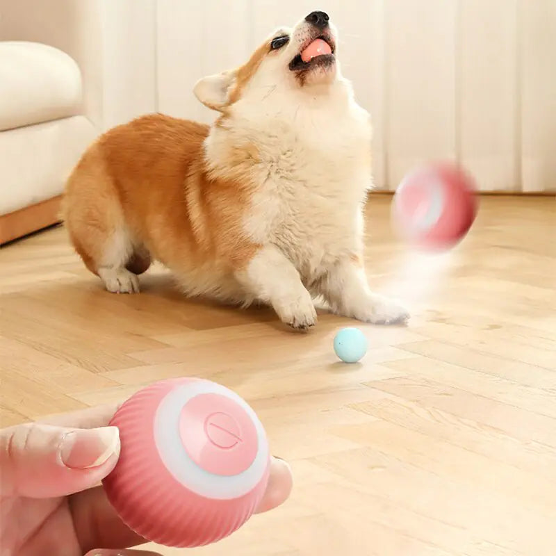 Electric Dog Toys Smart Puppy Ball Toys For Cat Small Dogs Funny Auto Rolling Ball Self-moving Puppy Games Toys Pet Accessories - The Pet Spot