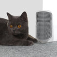 Load image into Gallery viewer, Pet Grooming Comb - The Pet Spot
