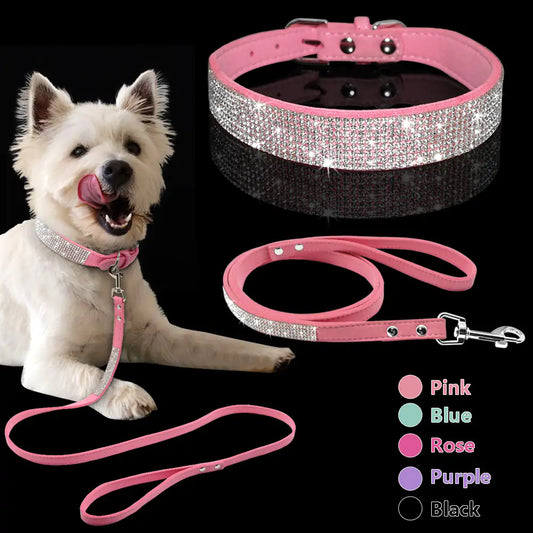 Pet Collar - The Pet Spot