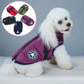 Load image into Gallery viewer, Pet Harness Vest Clothes - The Pet Spot
