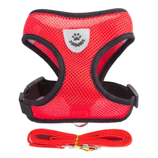 Pet Harness - The Pet Spot