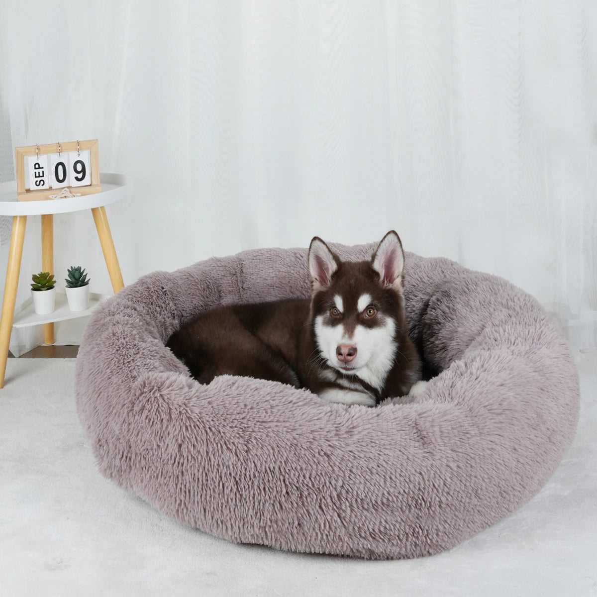 Donut Pet Bed