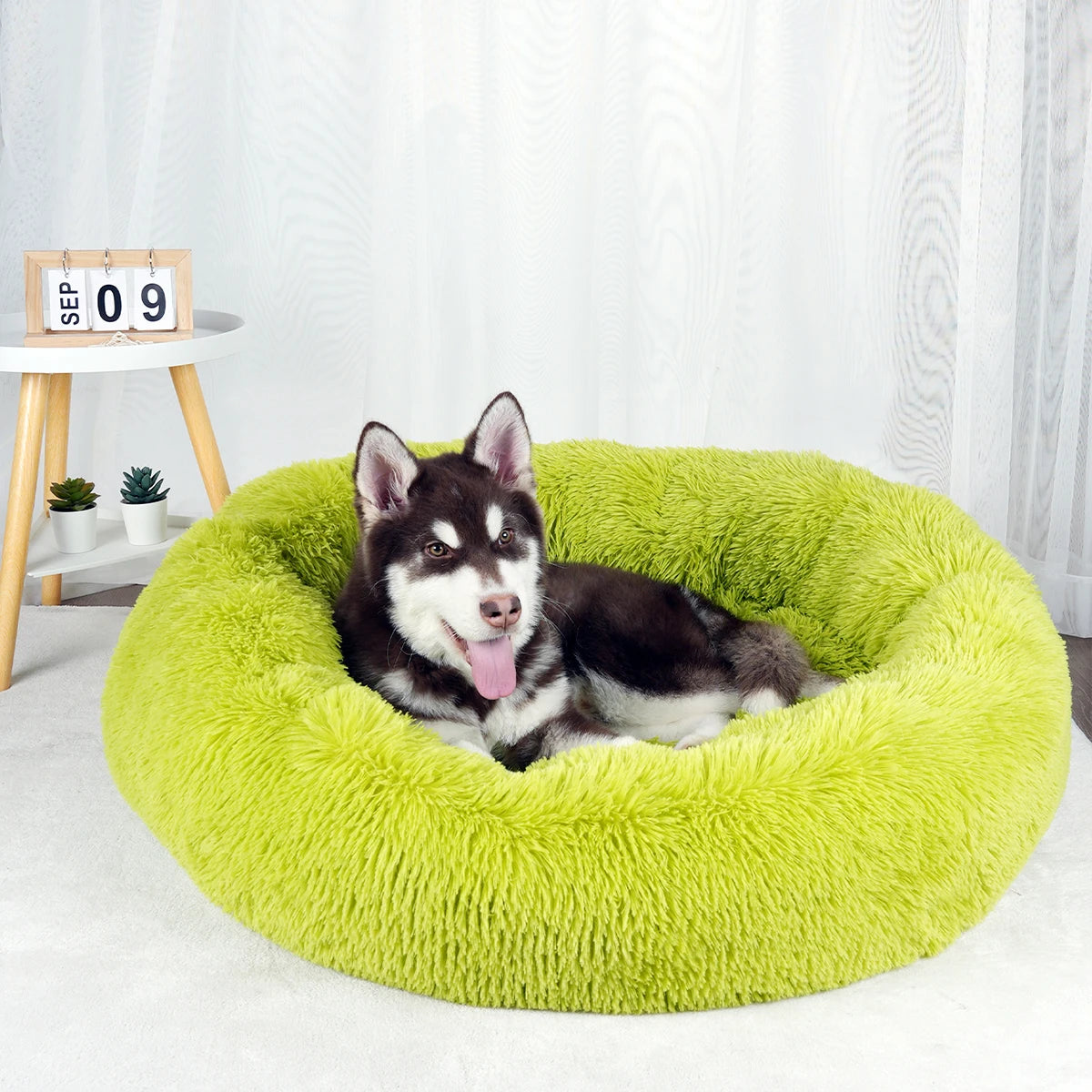 Donut Pet Bed