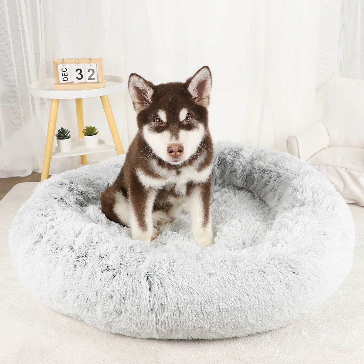 Donut Pet Bed