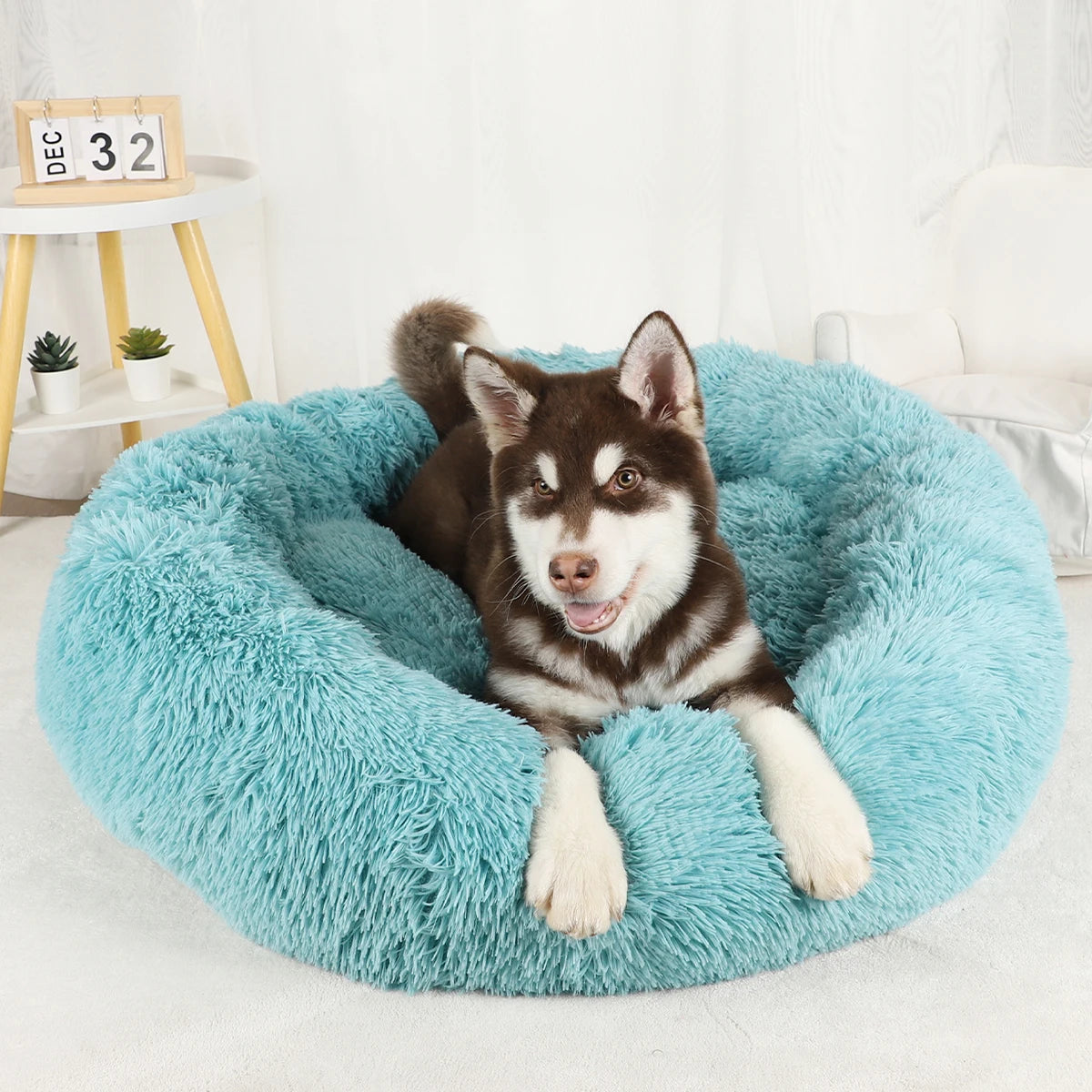 Donut Pet Bed