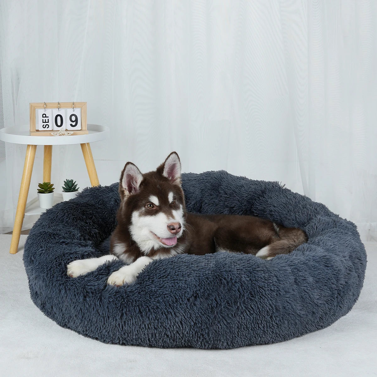 Donut Pet Bed