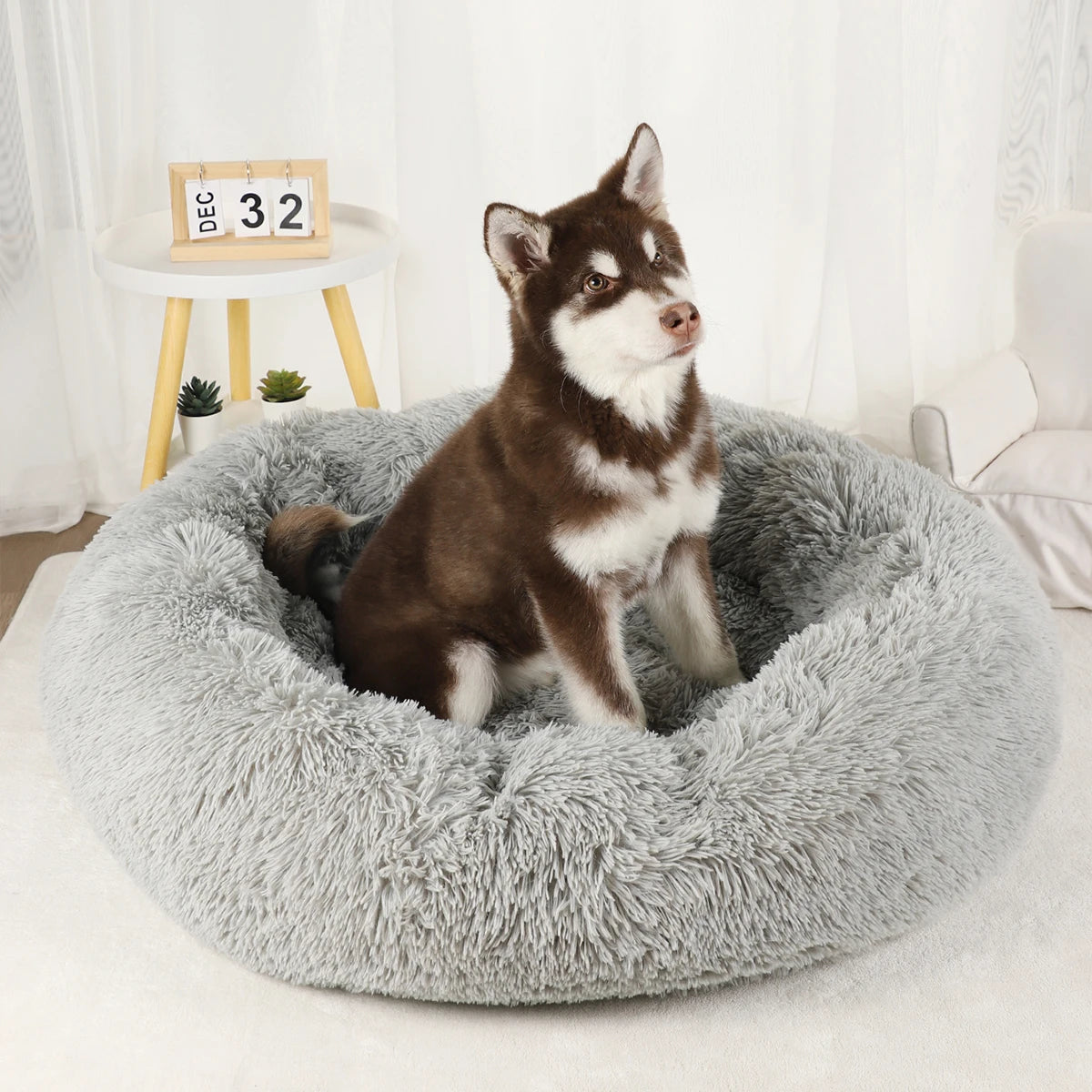 Donut Pet Bed