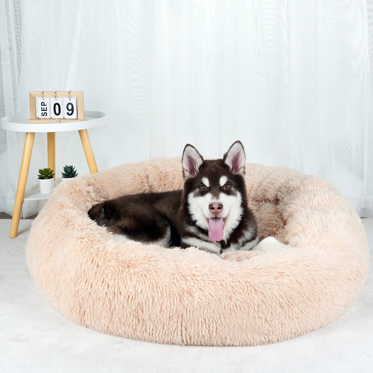 Donut Pet Bed