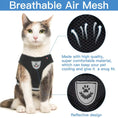 Load image into Gallery viewer, CozyCat Pet Harness and Leash - The Pet Spot
