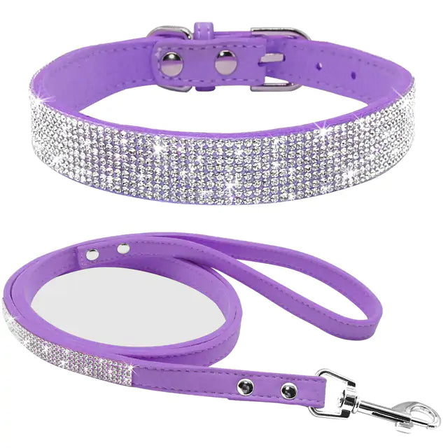 Pet Collar - The Pet Spot