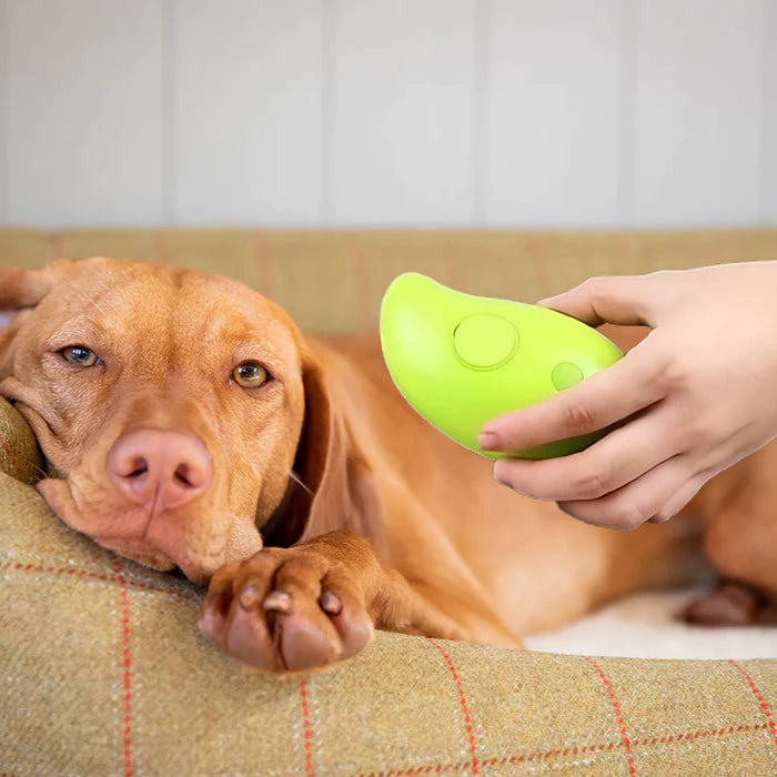 Steamy Pet Brush: Electric Spray Grooming Combo