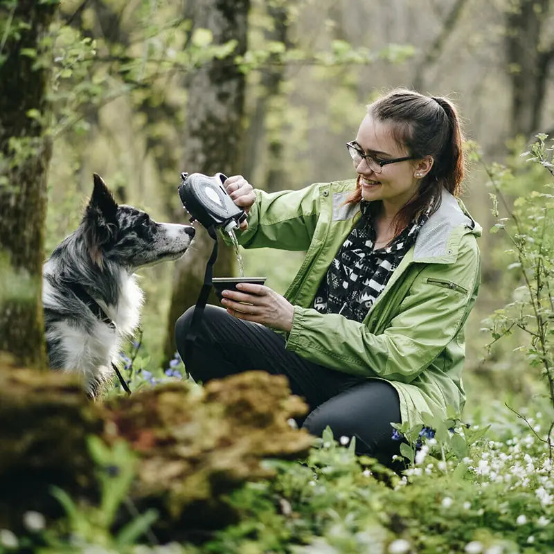 Versatile Pet Leash with Accessories - The Pet Spot