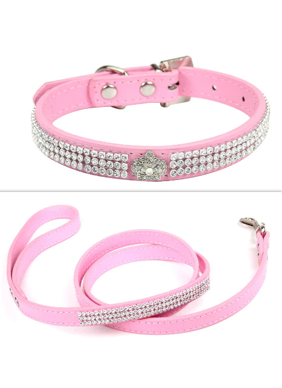 Pet Collar - The Pet Spot