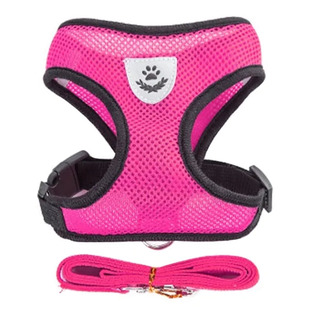 Pet Harness - The Pet Spot