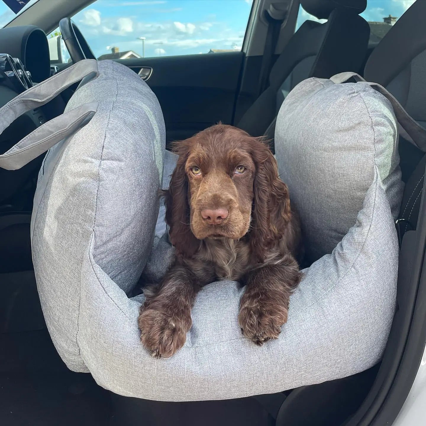 Pet Travel Bed - The Pet Spot