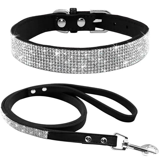 Pet Collar - The Pet Spot