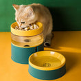 Load image into Gallery viewer, Pet Bowl - The Pet Spot
