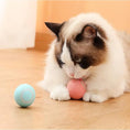 Load image into Gallery viewer, Electric Dog Toys Smart Puppy Ball Toys For Cat Small Dogs Funny Auto Rolling Ball Self-moving Puppy Games Toys Pet Accessories - The Pet Spot
