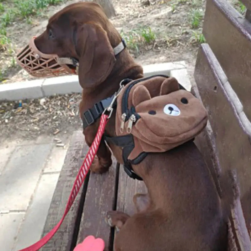 Pet Backpack - The Pet Spot