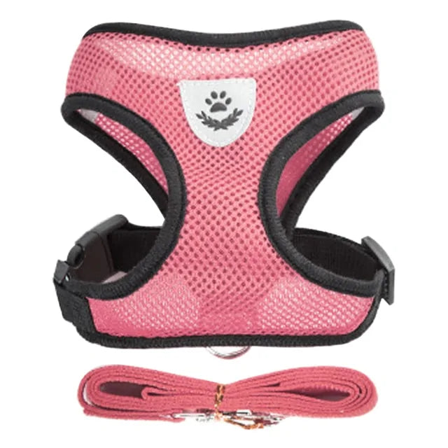 Pet Harness - The Pet Spot