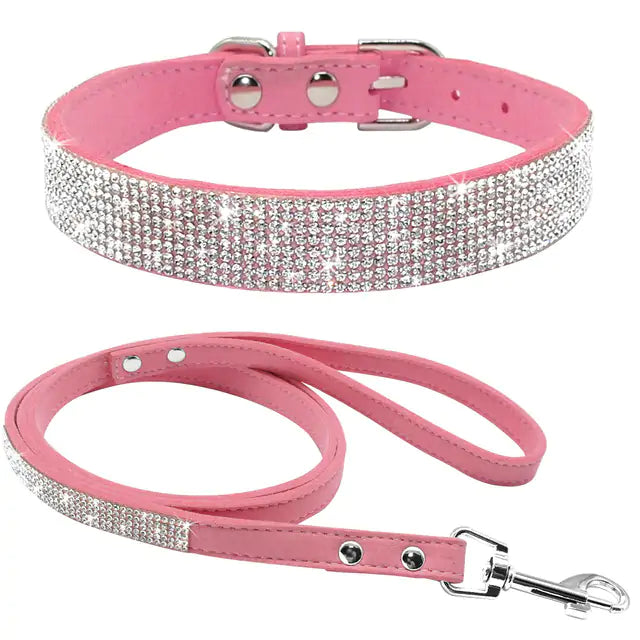 Pet Collar - The Pet Spot