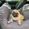 Load image into Gallery viewer, Pet Travel Bed - The Pet Spot
