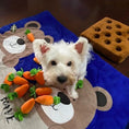 Load image into Gallery viewer, Pet Dog Snuffle Toy Pet Interactive Training Plush - The Pet Spot
