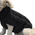 Load image into Gallery viewer, Winter pet Clothes Twist Dog cat Sweaters Warm - The Pet Spot
