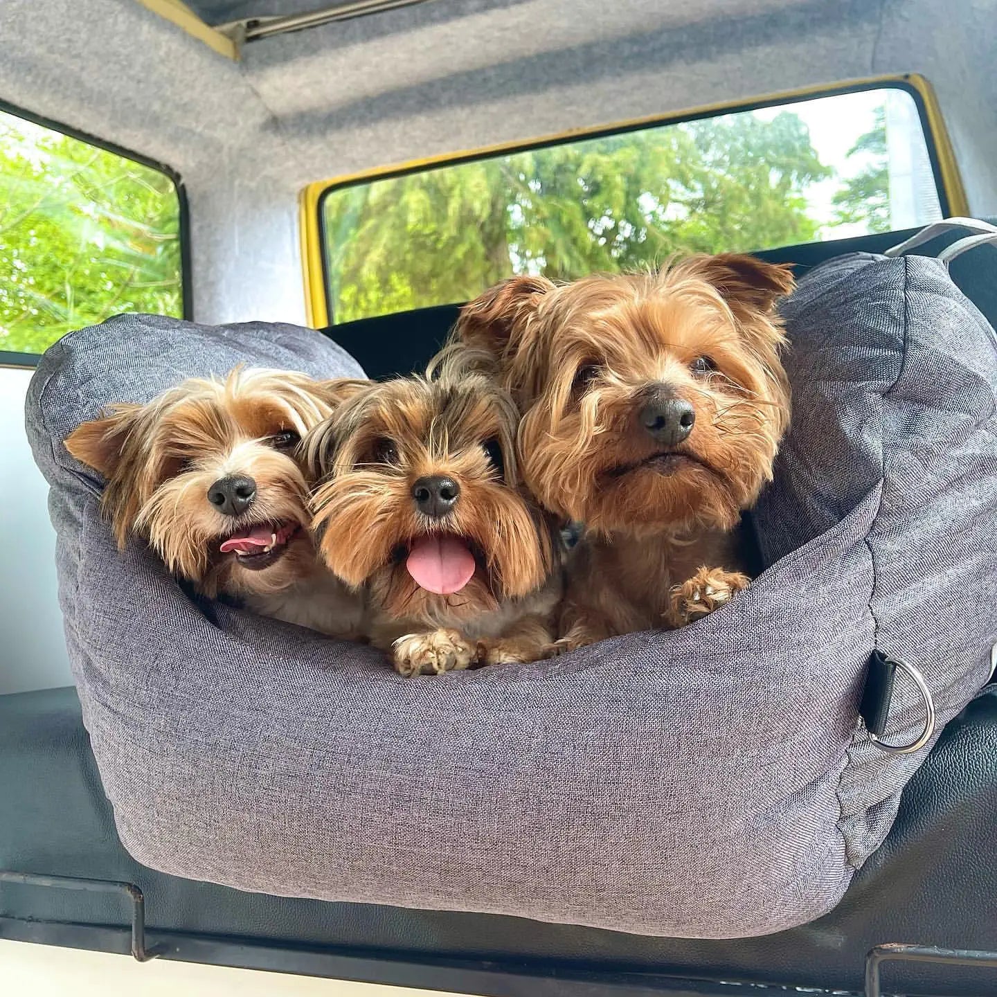 Pet Travel Bed - The Pet Spot