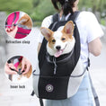 Load image into Gallery viewer, Pet Travel Carrier Bag - The Pet Spot
